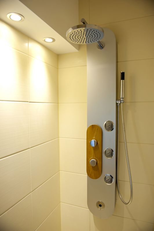 Contemporary Shower Setup